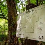 Wisconsin Now Lets Drivers Buy State Park Passes With DMV Renewal