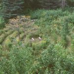 Sound Bath & Labyrinth Walk