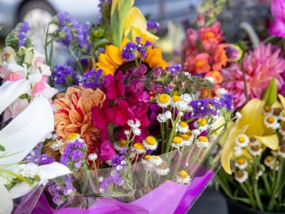 Downtown Thiensville Announces Fresh New Additions for the Farmers Market 2026 Season