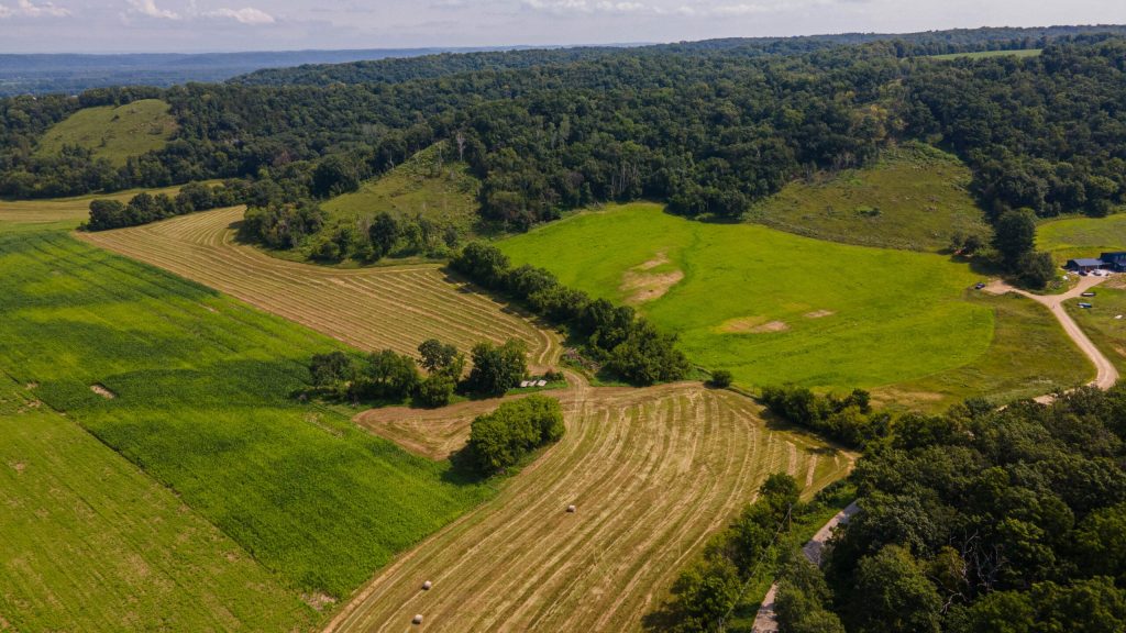 The Agaski Bluff in southern Wisconsin was acquired by The Prairie Enthusiasts in December 2024. The 38-acre site is home to Wisconsin’s largest population of the state-endangered pale false foxglove. Photo courtesy of The Prairie Enthusiasts