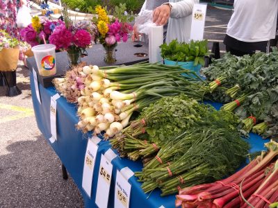 Whitefish Bay Farmers Market Opens Saturday, June 6th