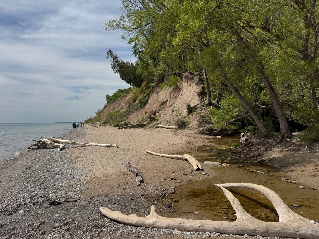 A portion of the shoreline along Lion’s Den Gorge Nature Preserve is seen here on June 3, 2026. Evan Casey/WPR