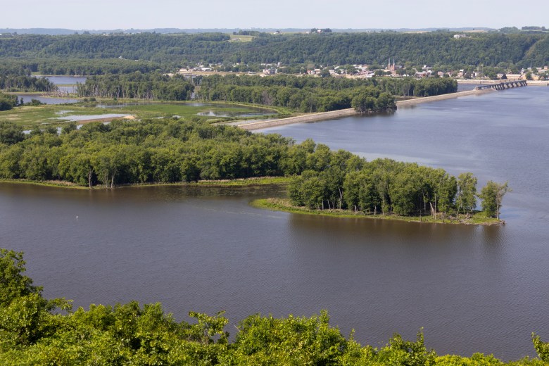 The Eagle Valley Nature Preserve observation tower overlooks the Mississippi River and Gutenberg, Iowa, June 4, 2026, in Grant County, Wis. The 1,450-acre preserve is just north of site that was considered for a data center. (Joe Timmerman / Wisconsin Watch)
