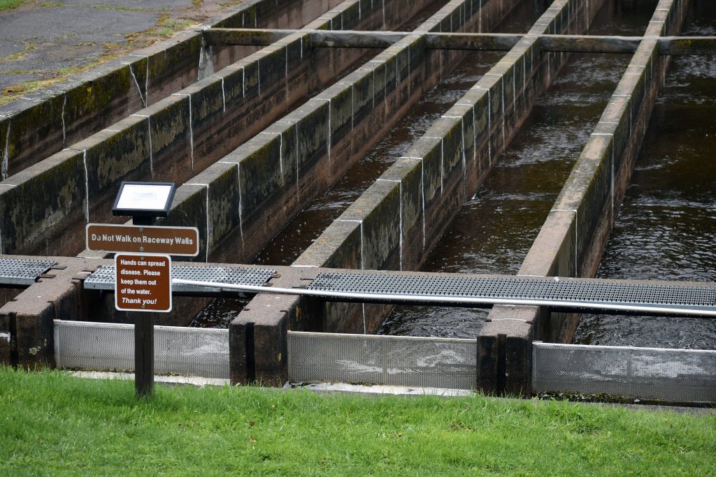 Raceways and ponds at the Brule River State Fish Hatchery are fed by the Little Brule River. The hatchery sits empty, and the DNR intends to keep it closed. Danielle Kaeding/WPR