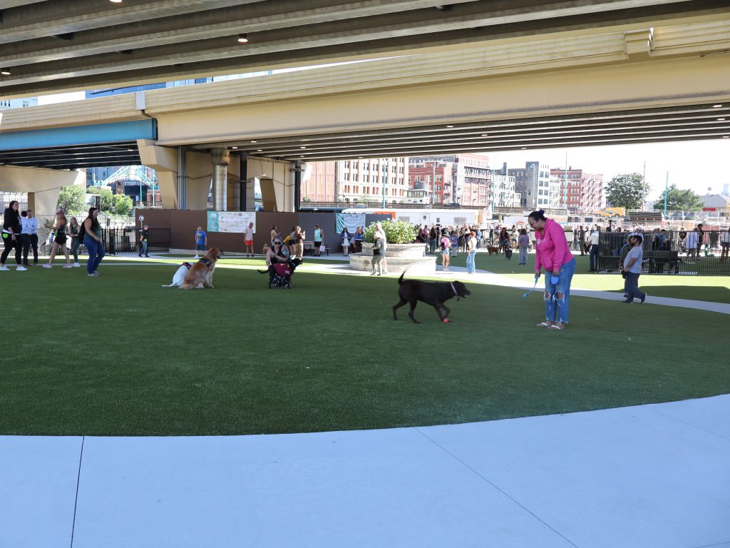 Downtown Dog Park. Photo taken Aug. 20, 2025 by Graham Kilmer.