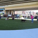 Downtown Milwaukee Dog Park Wins International Award