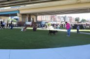 Downtown Dog Park. Photo taken Aug. 20, 2025 by Graham Kilmer.