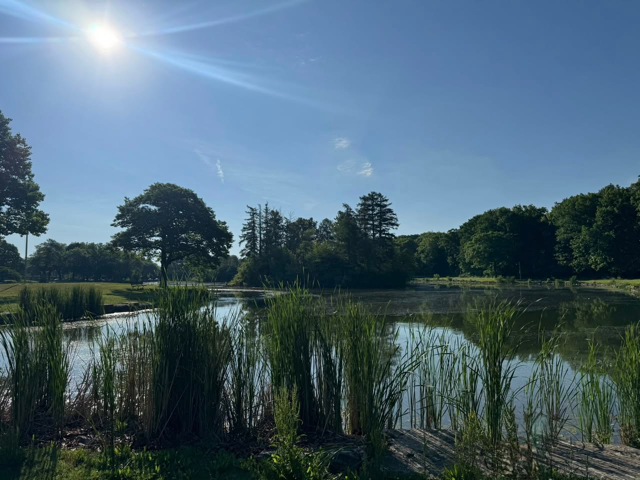 The lagoon at Jackson Park, part of the area to be reconfigured by the MMSD/Milwaukee County Parks partnership. Photo by Tom Pipia