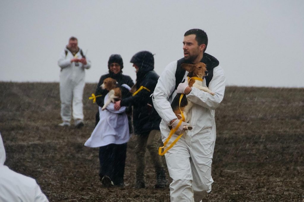 Individuals carry dogs out of Ridglan Farms on March 15, 2026. The Dane County Sheriff’s Office has referred charges to the local district attorney against 62 people involved in the March 15 incident. Source: Coalition to Save the Ridglan Dogs