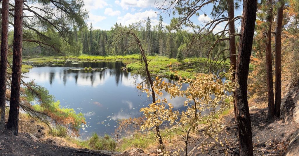 A remote beaver pond used as a water supply used to extinguish the Chub Fire in northern Minnesota. Photo courtesy of the Wisconsin DNR