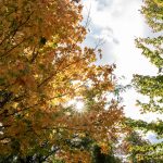 Strong El Niño Raises Odds Of Mild Winter, Tough Drought For Wisconsin