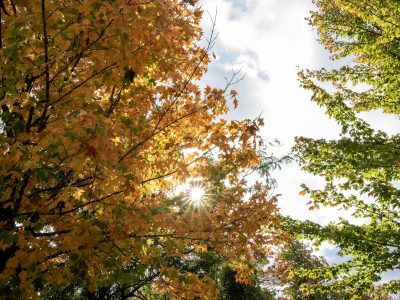 Strong El Niño Raises Odds Of Mild Winter, Tough Drought For Wisconsin