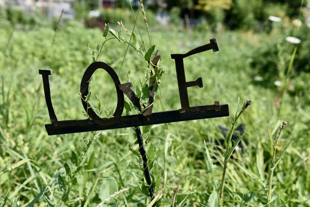 A “Love” sign in Alice’s Garden, 2136 N. 21st St. (NNS file photo)