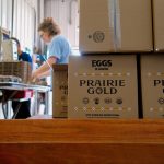 $2.5 Million State Grant Links Wisconsin Farms And Food Pantries