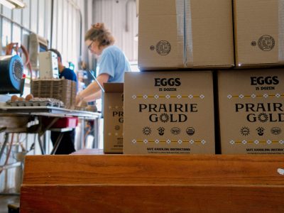 $2.5 Million State Grant Links Wisconsin Farms And Food Pantries