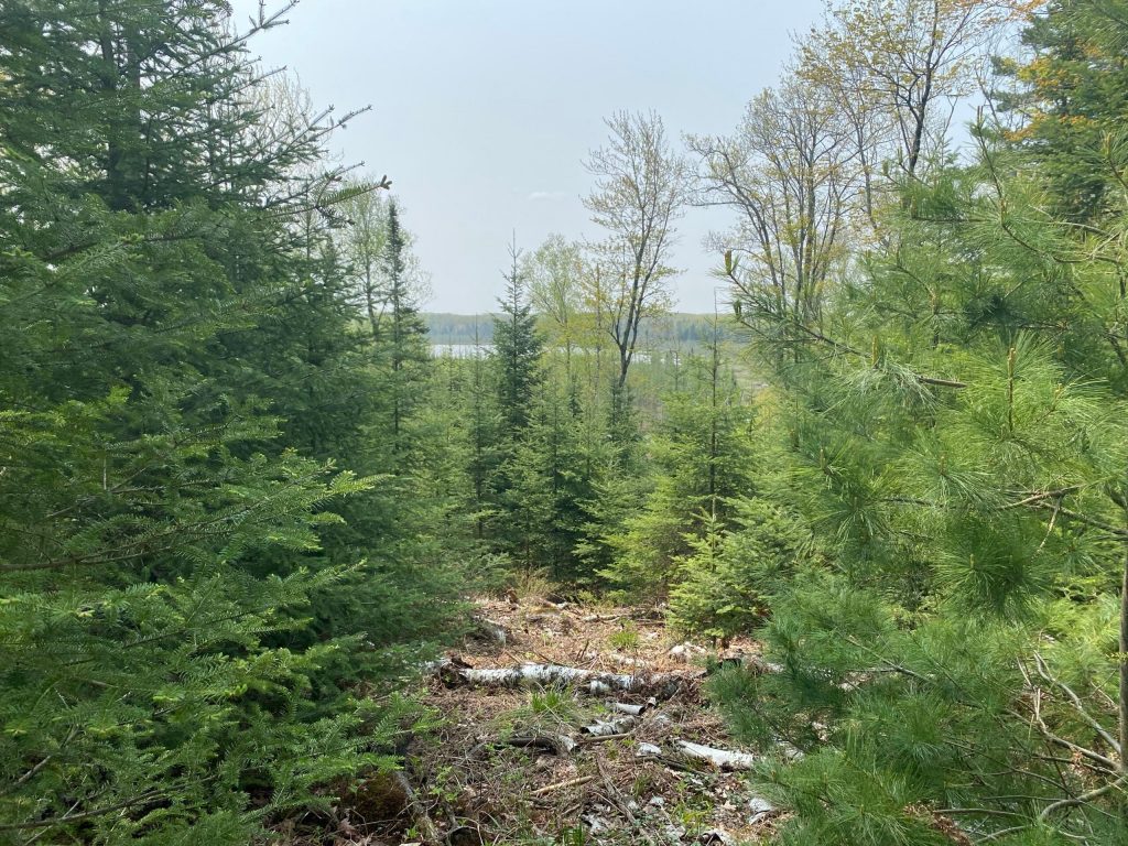 Around 481 acres around Emil Lake is part of a recently approved conservation easement in Vilas County. Photo courtesy of the Wisconsin Department of Natural Resources