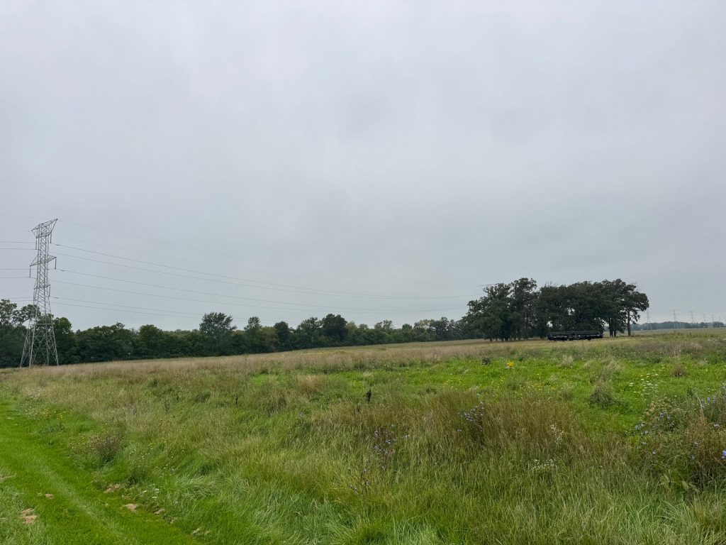 Land purchased by Microsoft in Kenosha for a data center project is seen here on Aug. 26, 2026. Evan Casey/WPR