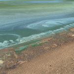 Blue-Green Algae on the Rise in Wisconsin’s Lakes