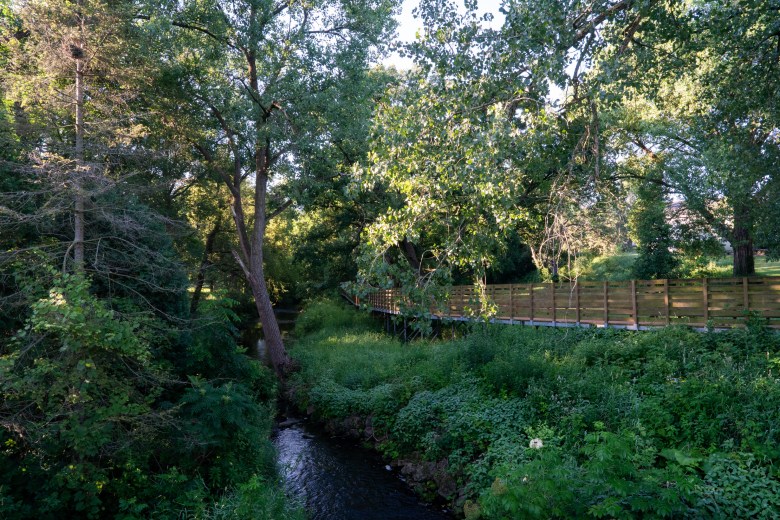 A view of the Yahara River from South Street in DeForest, Wis., July 14, 2026. (Kayla Wolf for Wisconsin Watch)