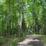 State Will Spend $905,000 to Help Conserve 1,250 Acres in North Woods