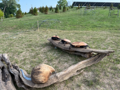 Mama Rosa is Getting Some New Friends in Firefly Grove Park this Month