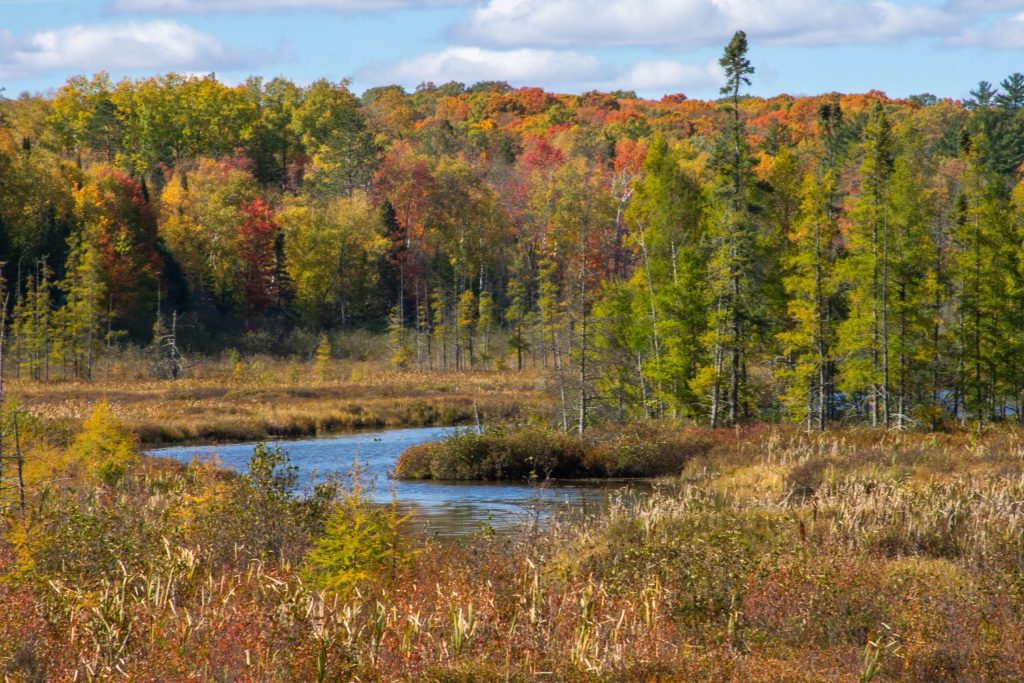 Tamarack Creek flows from Emil Lake as part of the recently approved Border Lakes Forest Legacy Conservation Easement. The Wisconsin Department of Natural Resources acquired the easement from the Michael A. Uihlein Exemption Trust. Photo courtesy of Northwoods Alliance