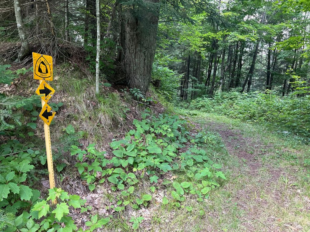 The Wisconsin DNR is seeking to buy a conservation easement on almost 1,800 acres of forest land in Langlade County that’s owned by Braun Woodlands II, LLC and the Frederic H.T. Braun Grandchildren Irrevocable Trust. Photo courtesy of the Wisconsin DNR