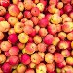Late Frosts, Drought and Hail Damage Challenge Wisconsin Apple Growers