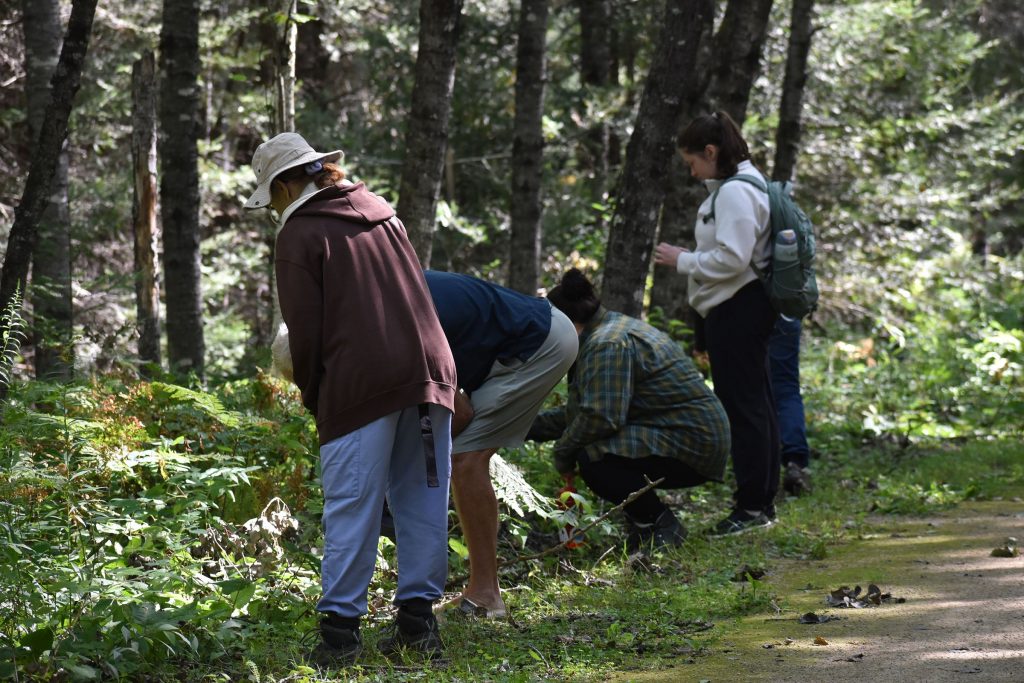 A group taking part in a guided walk on the Tara Lila Forest Bathing Trail takes in the textures of the forest on Aug. 8, 2026. Forest bathing is a Japanese wellness practice that’s been shown to reduce stress, blood pressure and improve sleep. Danielle Kaeding/WPR