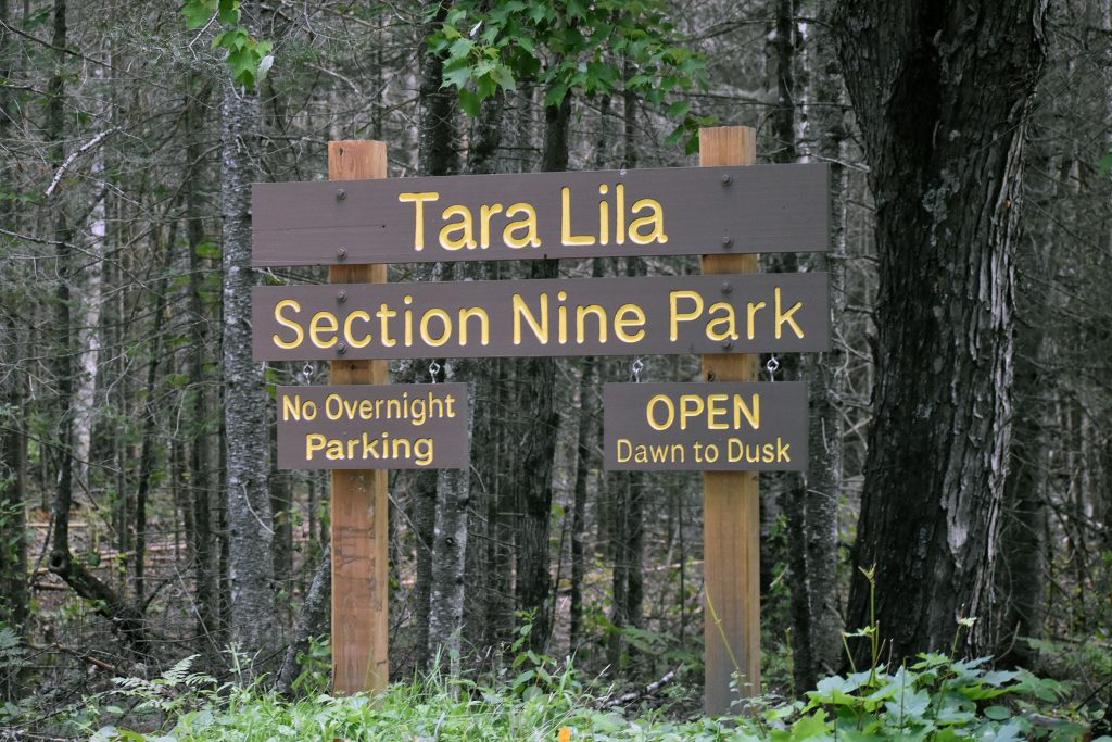 The Tara Lila Forest Bathing Trail is the first forest bathing trail in Wisconsin certified by the Association of Nature and Forest Therapy Guides and Programs. Danielle Kaeding/WPR