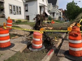 Downed tree at 2047 S. 11th St. Photo by Jeramey Jannene.