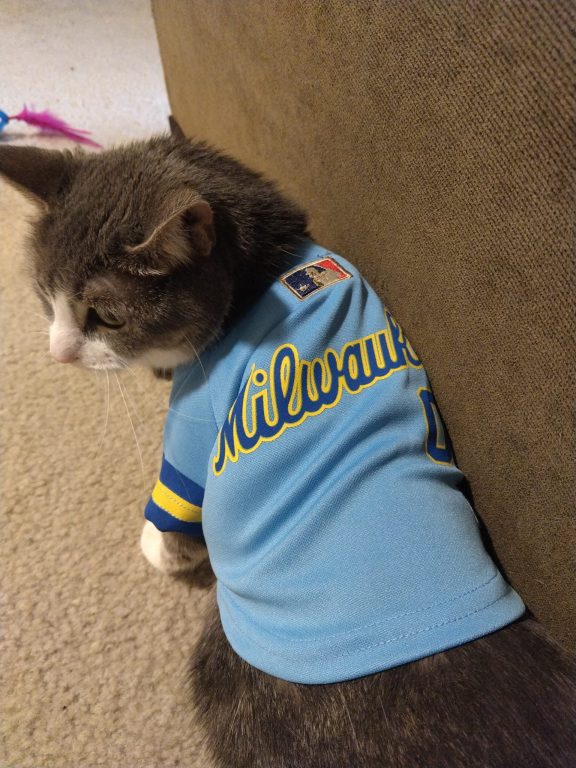 Arnold Peabody’s cat Lola is also a Brewers superfan. (Photo provided by Arnold Peabody)