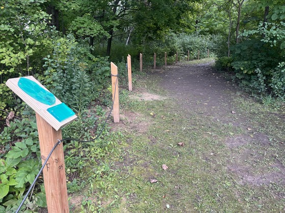 The new Braille Trail features several tactile elements to check out along the way. / Photo Credit: Wisconsin DNR