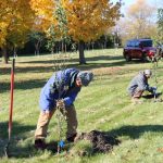 DNR Has Planted 50 Million Trees in Wisconsin