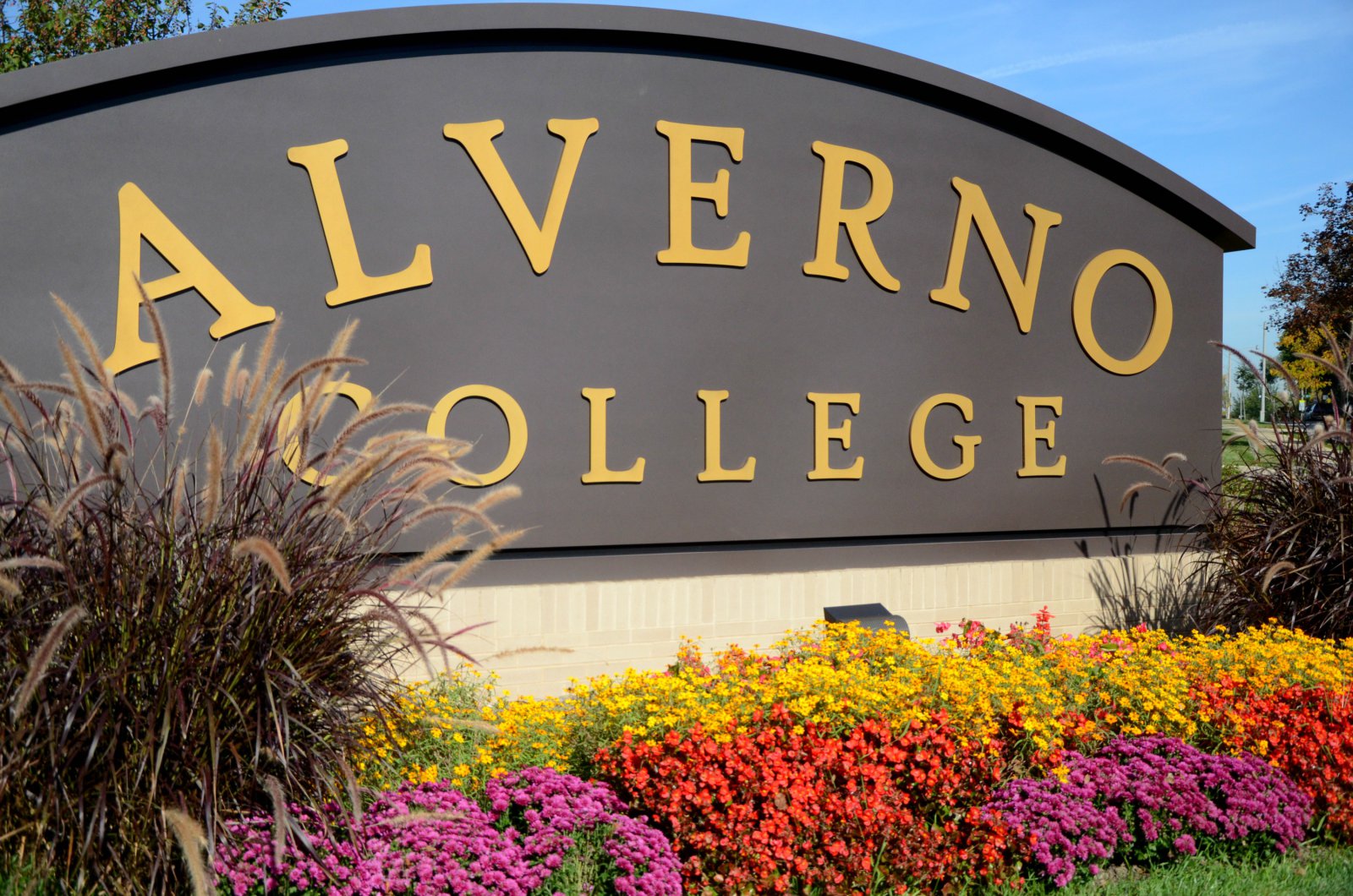 Alverno College Uses Women’s Sports to Boost Enrollment