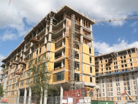 Wild Hall Construction