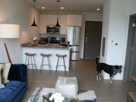 KinetiK - One-Bedroom Unit
