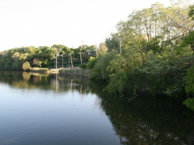 Future Trash Cleanup Site