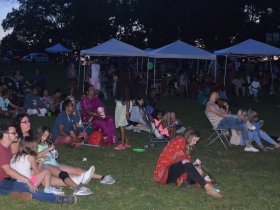 Indiafest Milwaukee 2019