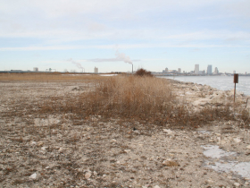 Future South Shore Cruise Dock