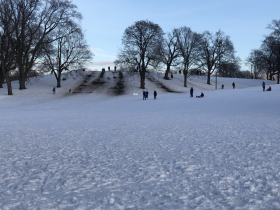 Sledding at Humboldt Park