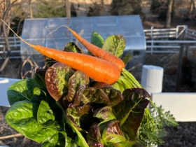 Anodyne Harvest Dinner