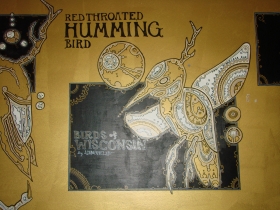 Humming Bird