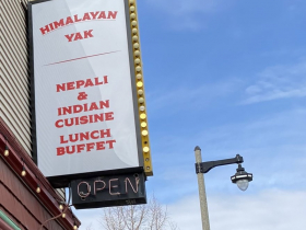 Himalayan Yak