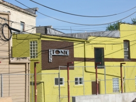 The back of Tonic.