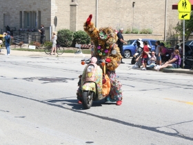 Moped Dog