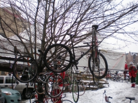 Treed Bike