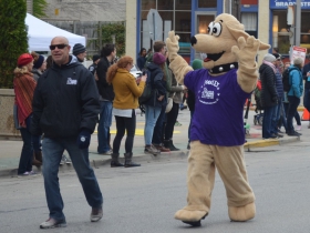 Barkley of Central Bark Doggie Daycare in the Pet Parade