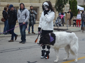 Brady Street Pet Parade