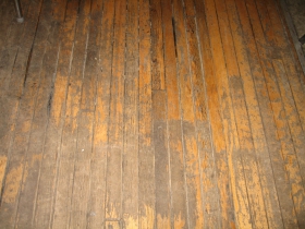 Floor